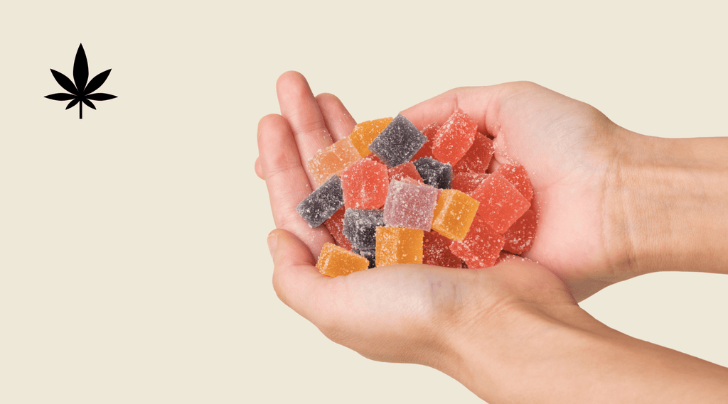 Hemp Gummies Vs CBD Gummies