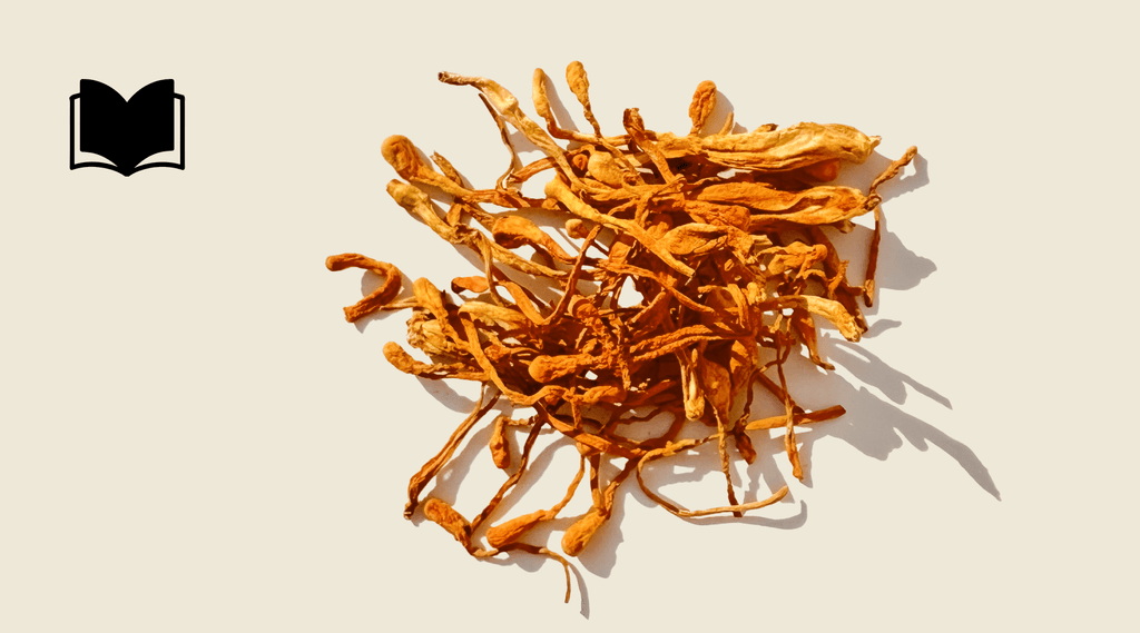 Cordyceps Mushrooms