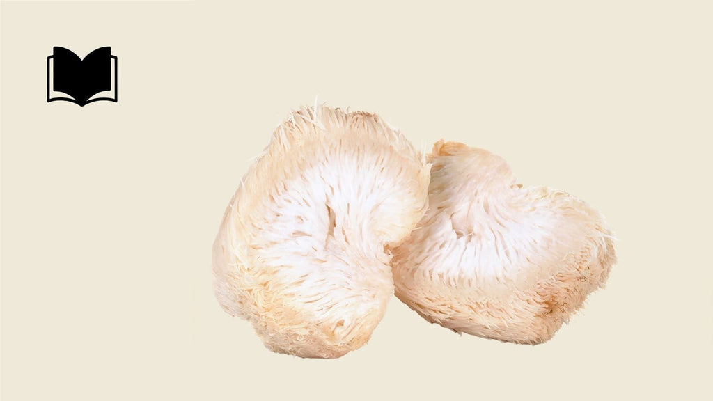 Batch Lion’s Mane Mushroom