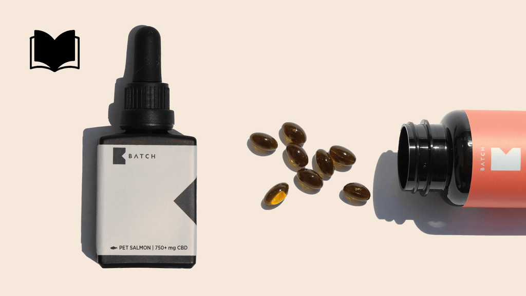 Everything You Need To Know About CBD Oil vs. CBD Capsules Capsules