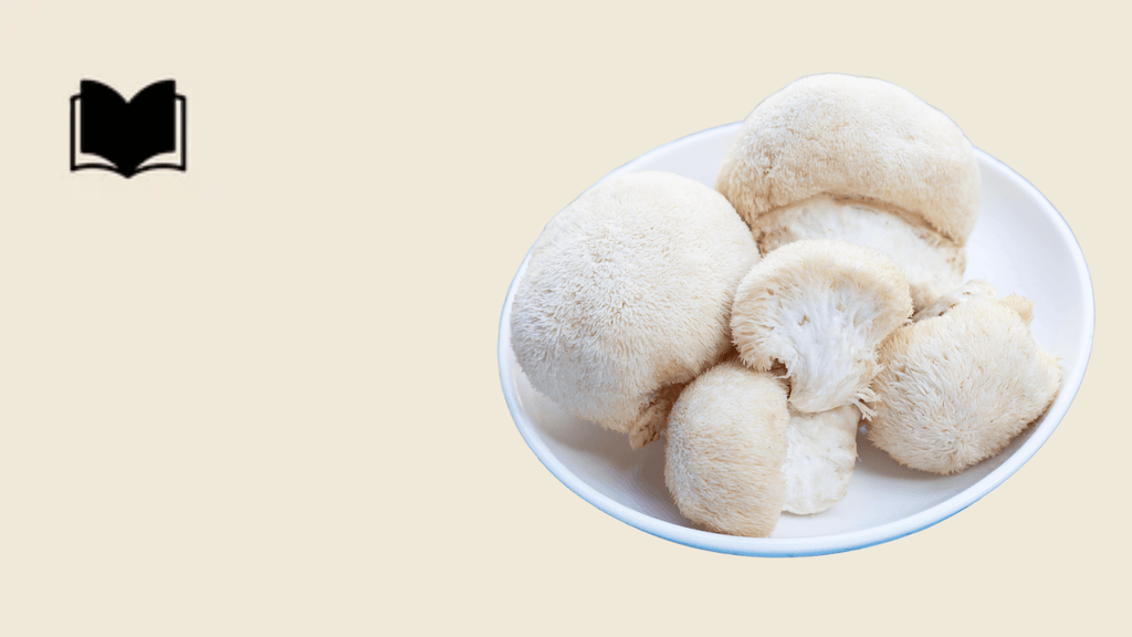 Lion’s Mane mushroom