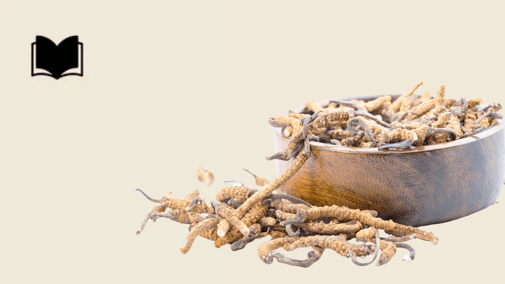 Cordyceps Mushroom