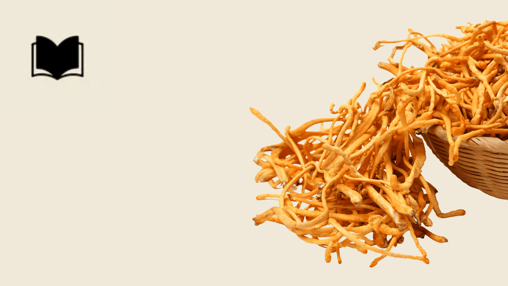  Cordyceps Mushroom