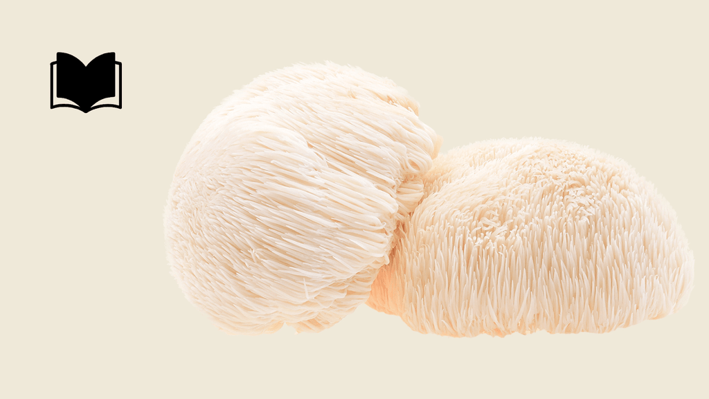 The Benefits of Lions Mane Mushroom Strain