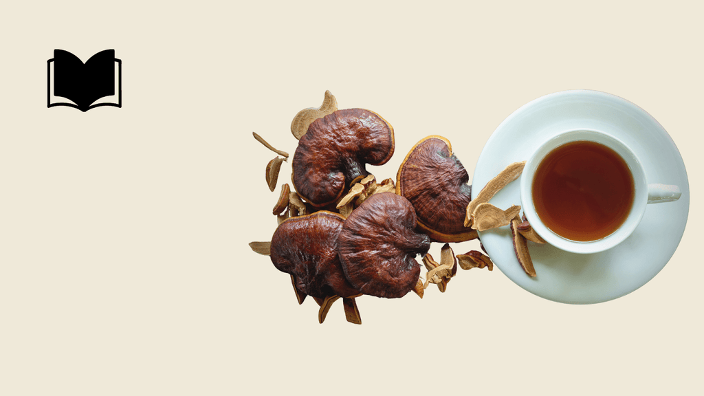 Reishi For Rest: How This Mushroom can Improve your Sleep