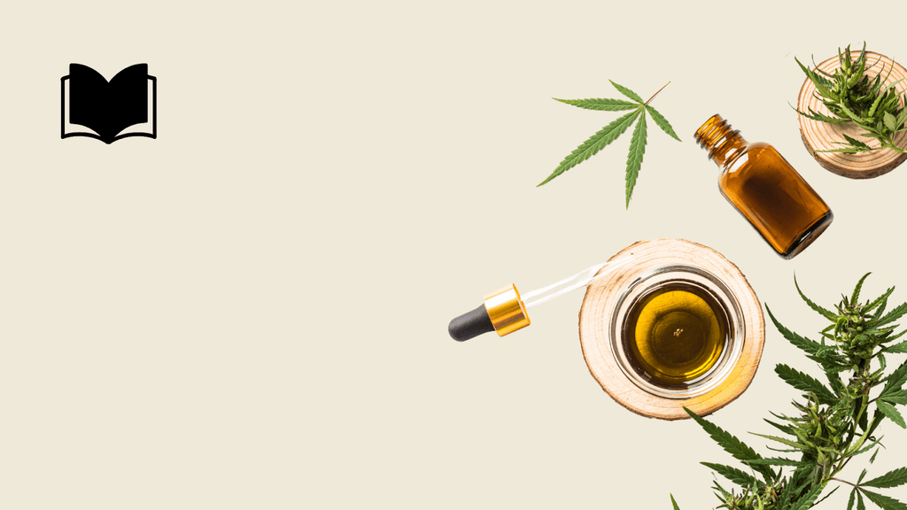 CBN Vs. CBD For Pain: Understanding The Differences And Benefits