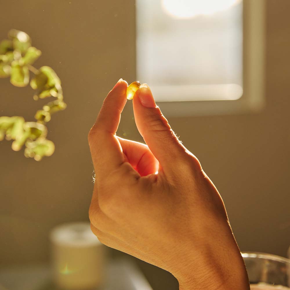 hand holding 1 cbd softgel in the sunlight.