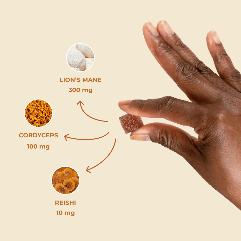 hand holding a brain boost gummy calling out lion's mane (300 mg), cordyceps (100 mg), and reish (10 mg)