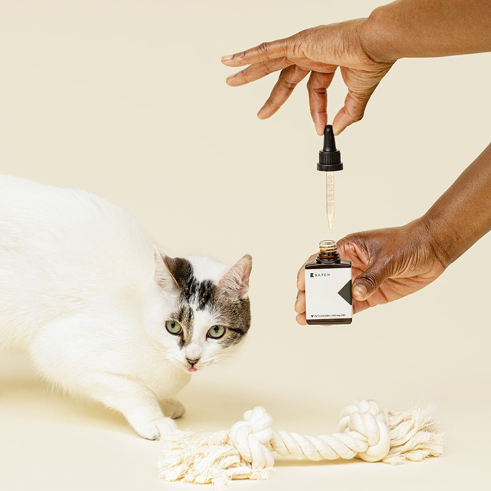 PET CBD Oil Tincture